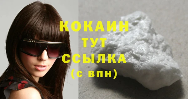 дурь Бородино