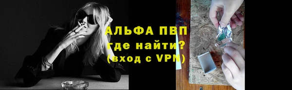 дурь Бородино