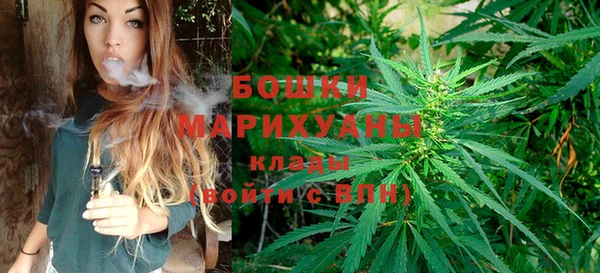 дурь Бородино