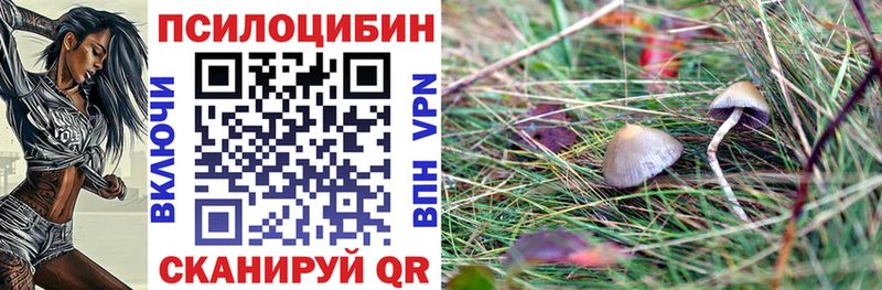 KRAKEN как войти  Ростов  Псилоцибиновые грибы Cubensis  даркнет сайт 